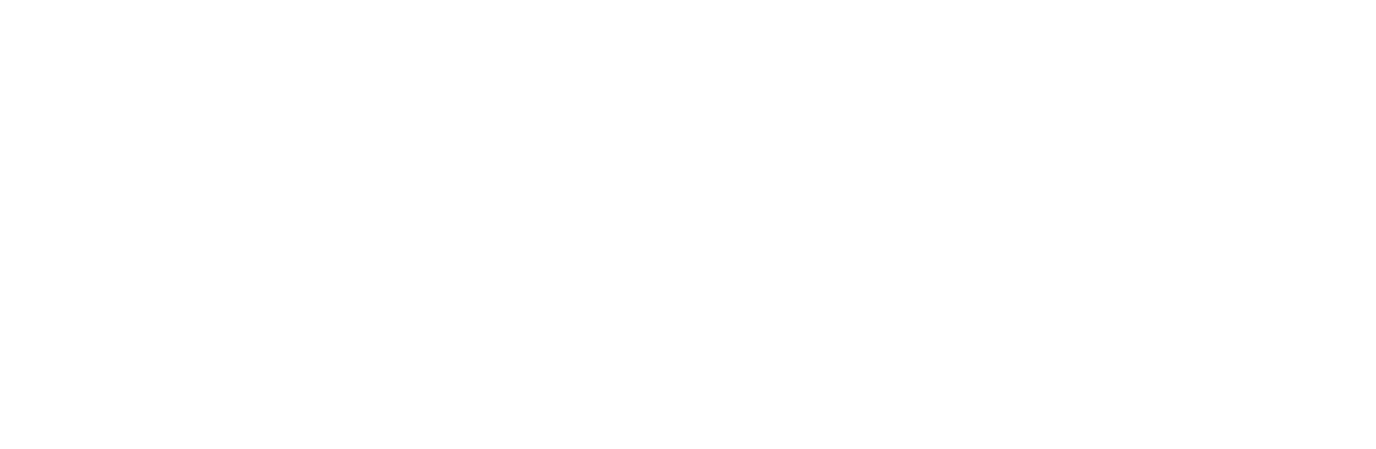 The Brazilian Report